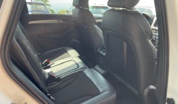 Audi Q5 2.0 tdi quattro 170cv s-tronic S-line, 19″, Xenon full